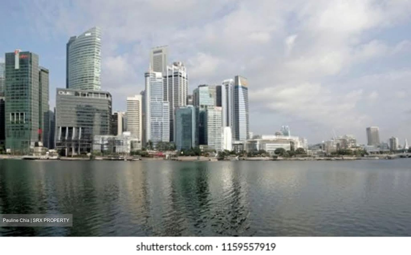Income At Raffles (D1), Retail #570046861